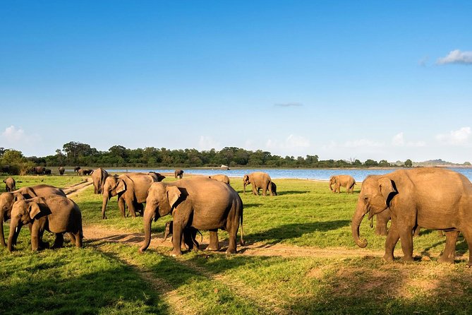 6 Days Nature And Culture Tour - Meet the Service: Private Driver, Mobile Ticket, and Real-World Communication