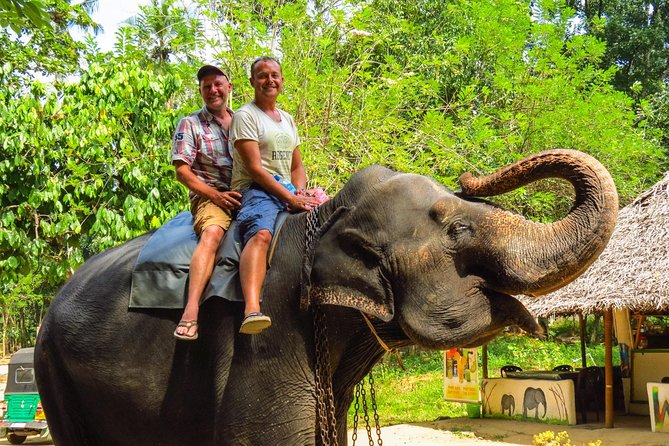 7 Days 6 Nights Package Tour with Holiday Walkers Sri Lanka - Day 3 Peradeniya gardens, Ramboda waterfall, tea factory tasting, and Gregory Lake