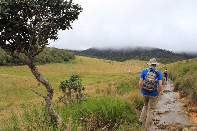 7 Days 6 Nights Package Tour with Holiday Walkers Sri Lanka - Day 6 Mirissa beach plus Galle Dutch Fort and three more coast stops
