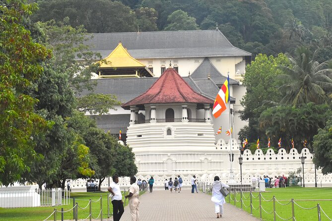 7 Days Classical Tour to Sri Lanka - Ella Train Ride: The 25 km That Makes the Week Feel Different