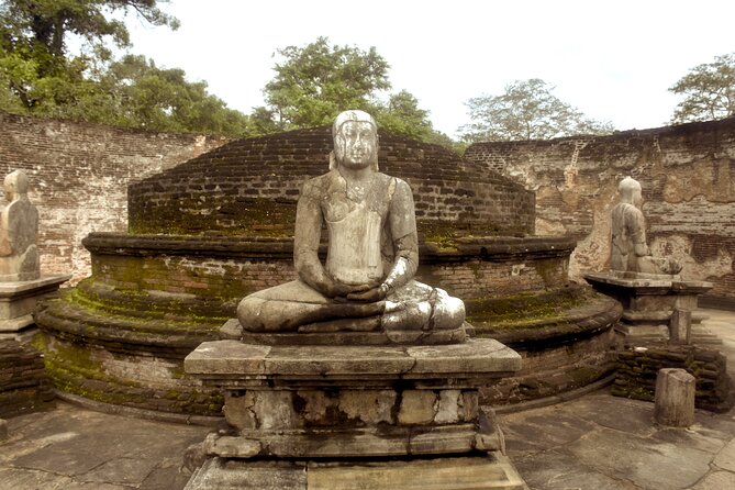 7 Days Classical Tour to Sri Lanka - Yala National Park Safari and Galle Dutch Fort: Wildlife Chances Then Coastal History