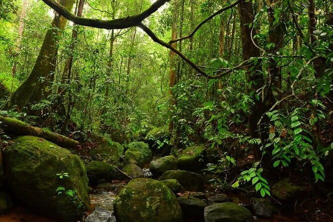 7 Days Private Guided Tour in Sri Lanka - Day 4: Nine Arches Bridge, Dunhinda Falls, and Little Adam’s Peak views