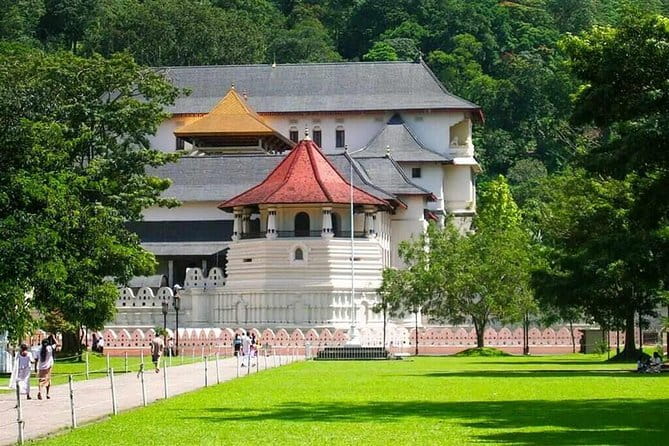 7 Days Private Guided Tour in Sri Lanka - Day 6: Whale watching, Madu River safari, and Bentota water views