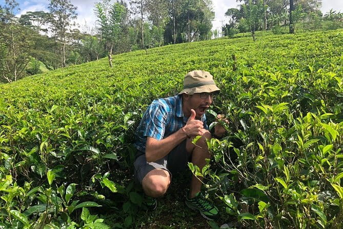 7 Days Sri Lanka Tour Chauffeur Wildlife and Heritage Adventure - Day 4: Horton Plains full-day effort plus the train into Ella