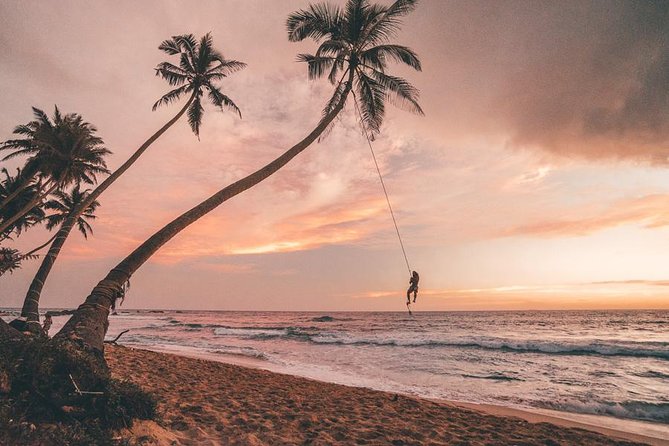 7 Nights Private Tour Of Sri Lanka - Spice-garden opener in Colombo: a smart start for your whole trip