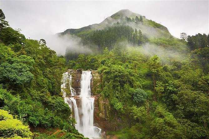 7 Nights Private Tour Of Sri Lanka - Pedro Tea Factory and Nuwara Eliya stroll time: the British-era vibe with cooler air