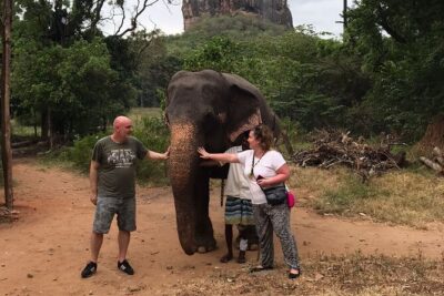 8 Days Private Guided Tour in Sri Lanka with accommodation (BB) - Pickup, mobile tickets, and staying organized