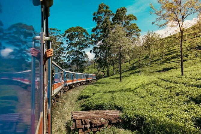 9 Days Guided Tour Through Sri Lanka - Negombo’s fish market and Dambulla Cave Temple: the day-one taste of Sri Lanka