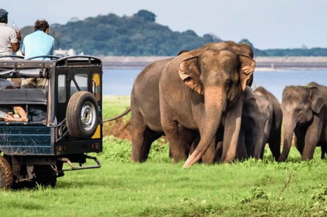 9 Days Guided Tour Through Sri Lanka - Sigiriya Lion Rock and Polonnaruwa: the two UNESCO hits that frame your trip