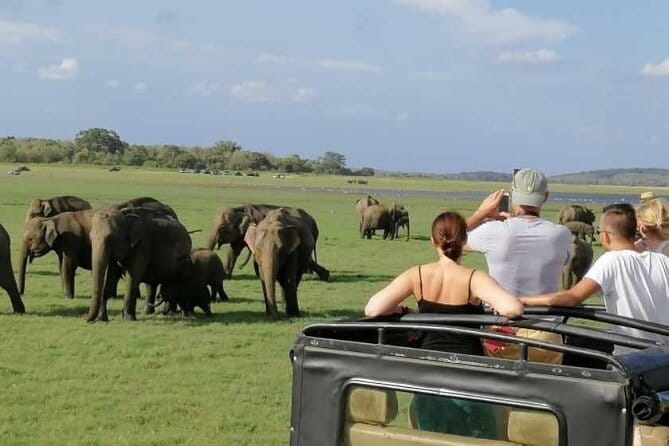 Adventure 2 days trip from trinco to sigiriya, with wild safari - The route extras: village tour, Ayurvedic spa, and spice stops
