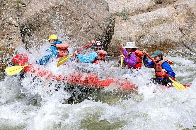 Adventure Experience A in Kitulgala - Key points before you go