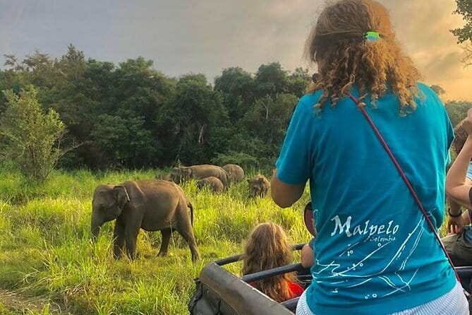 Adventure safari Experience in Hurulu Eco Park, Sri Lanka - Key Things I’d Focus On