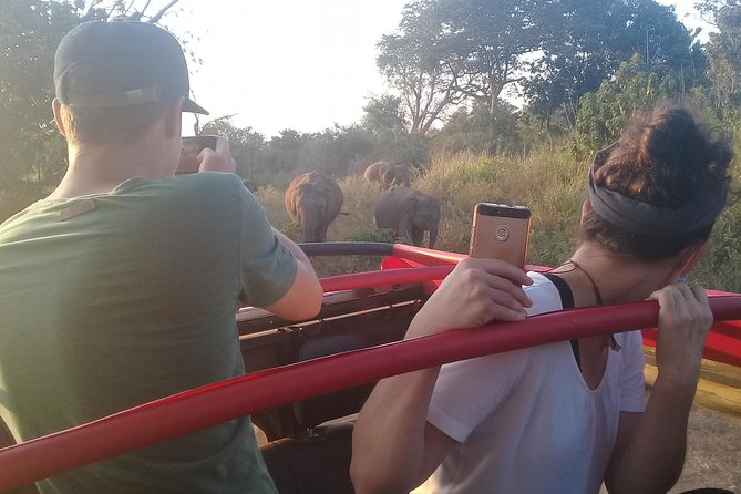Adventure trincomalee to sigiriya and wild safari ,village tour - Sigiriya climb time: 2 hours that should be paced, not rushed