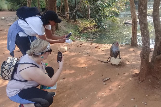 Adventure trincomalee to sigiriya and wild safari ,village tour - Beyond elephants: wildlife, birds, and the fun surprises