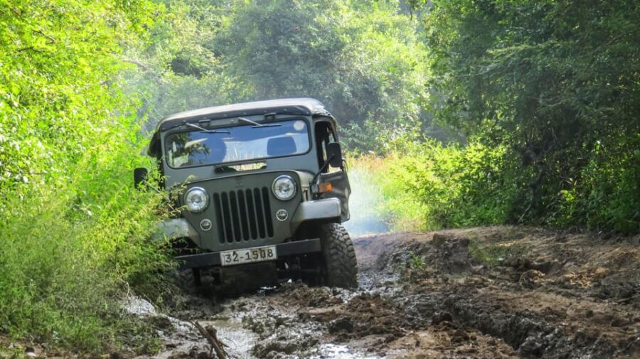 Ahangama: Udawalawe National Park Safari with Hotel Pickup - Comfort and safety: who this safari is a good match for