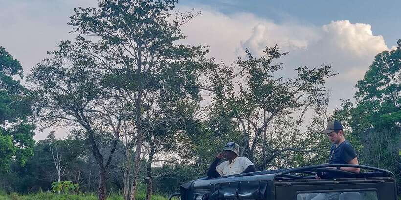 Ahangama: Udawalawe National Park Safari with Hotel Pickup - Timing matters: choosing the 11:00–11:30 pickup and the right safari slot