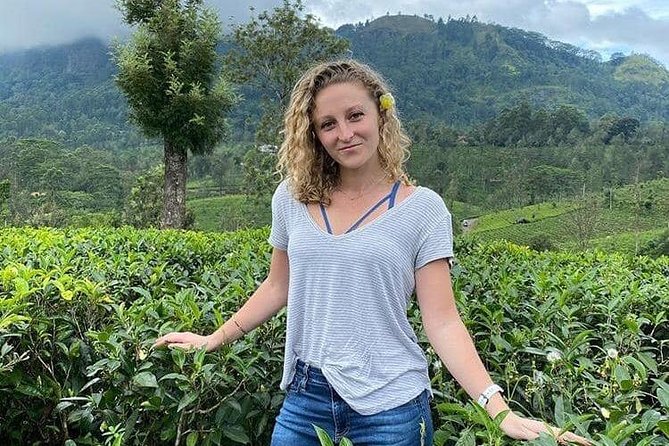 Air port Pick up and Drop to Kandy - Price and Value: When $70 for Two People Makes Sense