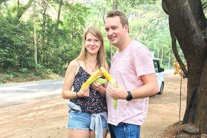 Air port Pick up and Drop to Kandy - Who This Transfer Is Best For