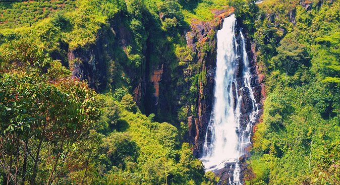 All in one Sri lanka 7nights 8 days for couple price - Colombo: Closing the Loop Without Stress