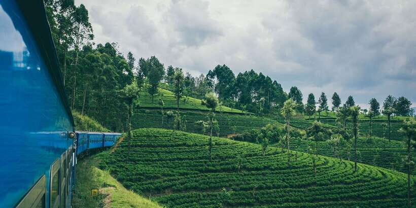 All Inclusive Ella From/To Kandy Scenic Train Journey - Key things I’d bank on before you go