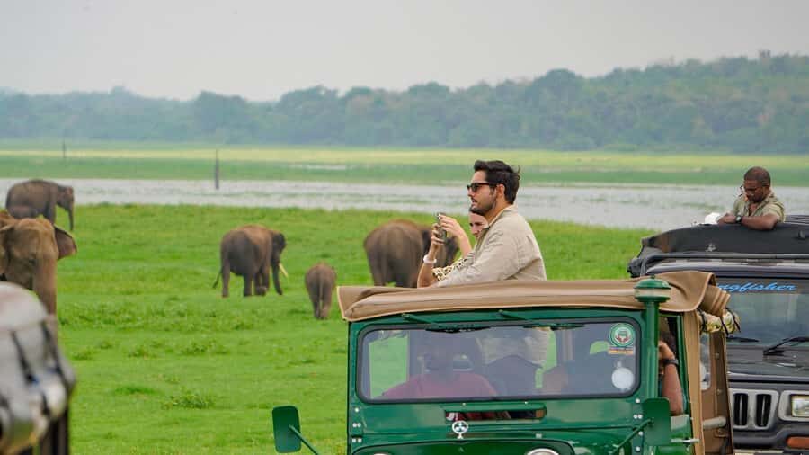 All-Inclusive Habarana HuruluEco Park Private Halfday Safari - Getting Picked Up in the Habarana Area (and Why It Matters)