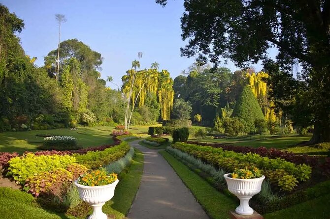 All Inclusive Kandy Private Day Tour From Colombo and Negombo - Stop 6: Kandy View Point
