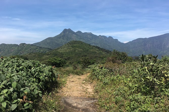 All Inclusive Knuckles Day Track With Accommodation - Key Points to Know Before You Go
