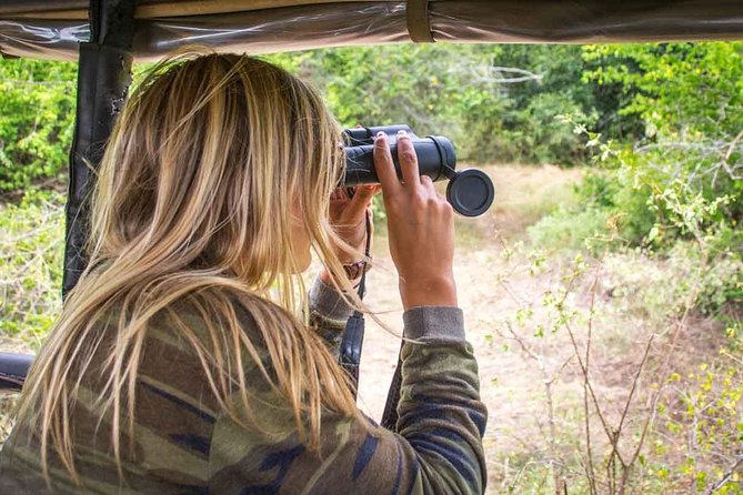 All Inclusive Leopard Nest Treehouse Safari in Yala - Price and Value: Is $200 a Good Deal for Two Days in Yala?