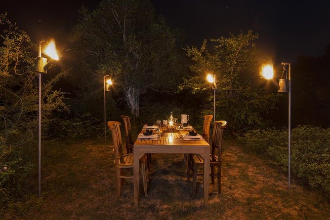 All Inclusive Leopard Nest Treehouse Safari in Yala - Who This Safari Is Perfect For (and Who Might Feel Crowded by It)