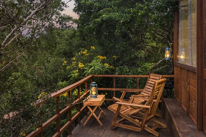All Inclusive Leopard Nest Treehouse Safari in Yala - Day One in Yala: Arrival, Evening Game Drive, and Campfire Time