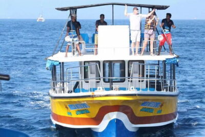 All Inclusive Mirissa Whale and Dolphin Watching Boat Ride - Price and Logistics: What You’re Really Paying For at $90