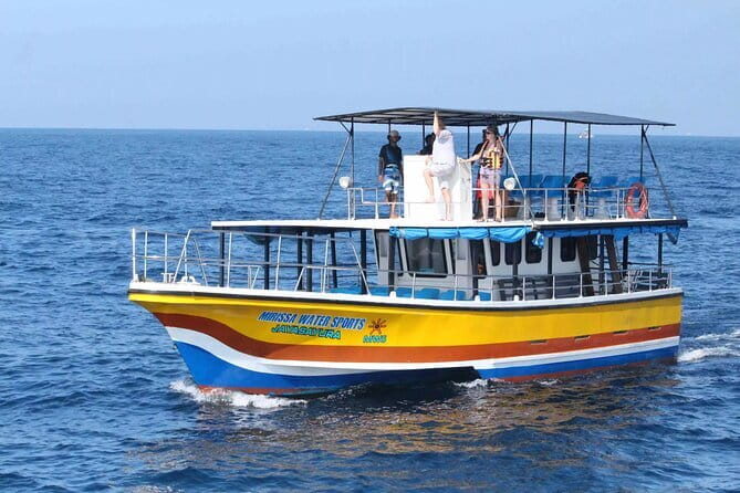 All Inclusive Mirissa Whale and Dolphin Watching Boat Ride - Whale Watching Chances: How to See a Big Ocean Animal Without Ruining the Moment