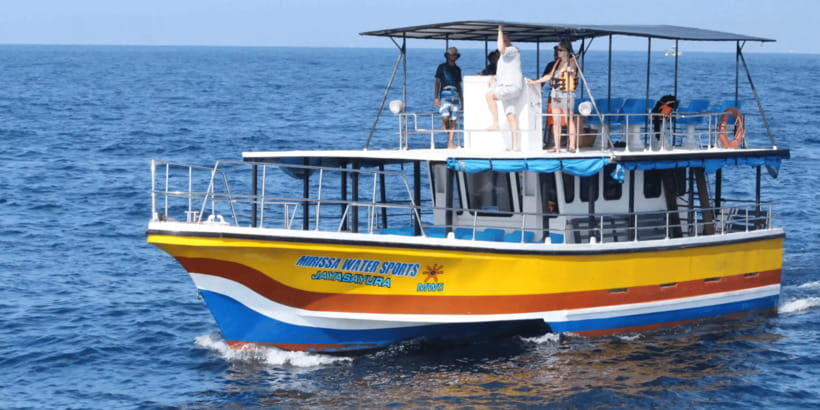 All Inclusive Mirissa Whale & Dolphin Watching + Snorkeling - Quick Hits: Mirissa Whales, Dolphins, and Turtles in One Day