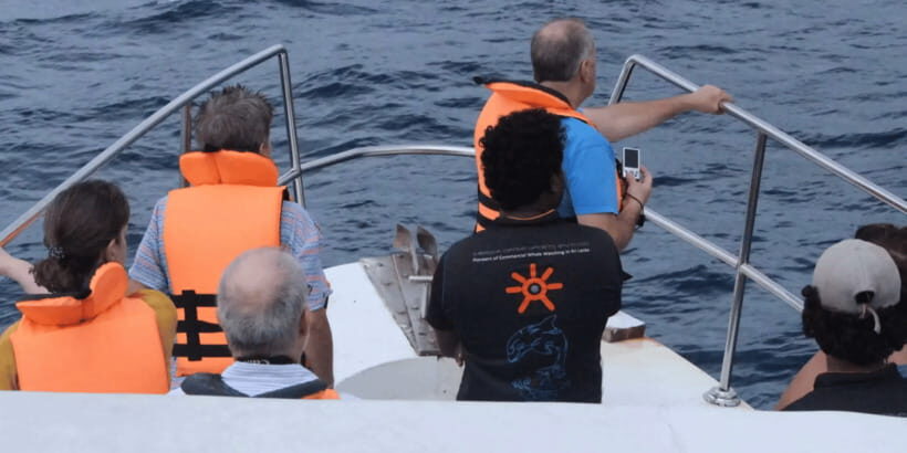 All Inclusive Mirissa Whale & Dolphin Watching + Snorkeling - When the Sea Gets Rough: How Plans May Change