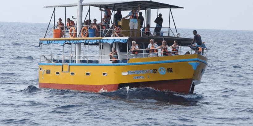 All Inclusive Mirissa Whale & Dolphin Watching + Snorkeling - Why Kotapola’s Timing Works: Dawn Sailing for Whales and Dolphins