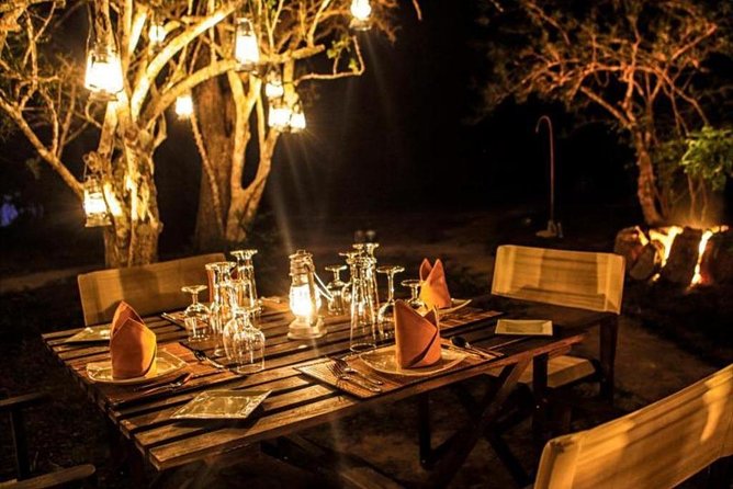 All Inclusive Overnight Tented Camping in Yala From Colombo - The included game drives: how the naturalist changes the safari