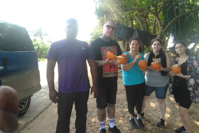 All inclusive Private Day tour Sigiriya, Dambulla & traditional village tour - Sigiriya Lion’s Rock: timing, museum time, and managing the steep bits
