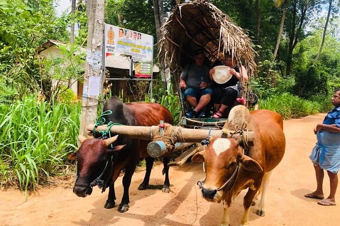 All inclusive Private Day tour Sigiriya, Dambulla & traditional village tour - Rawana Spice & Herbal Garden: a short lesson you can use