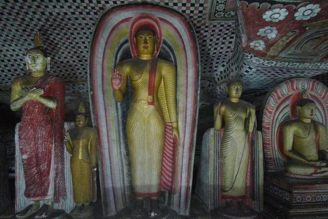 All inclusive Private Day tour Sigiriya, Dambulla & traditional village tour - Pickup from Negombo: what a private chauffeur day feels like