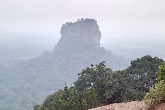 All inclusive Private day trip Sigiriya and Dambulla caves with more - Private Guide Day-to-Day: Keeping the Experience Smooth