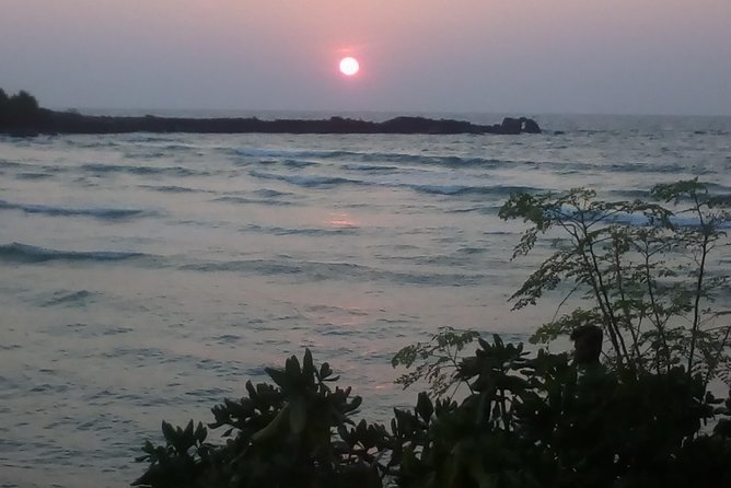 All inclusive Private Day trip to Southern Srilanka Galle, Bentota - Kosgoda Sea Turtle Conservation Project: close without confusion