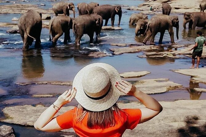 All-Inclusive Private tour in Sri Lankan Island 9 Day HB hotels - Key highlights worth your attention