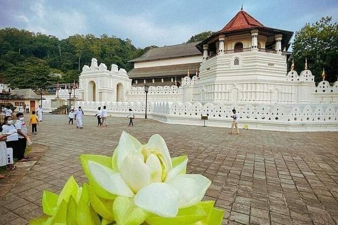 All-Inclusive Private tour in Sri Lankan Island 9 Day HB hotels - Price and what you actually get for $1,950