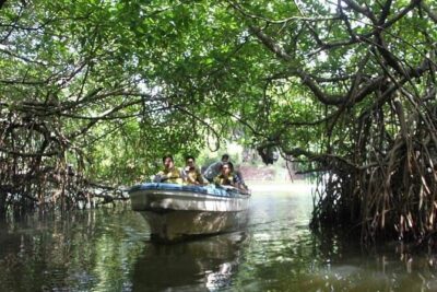 All-Inclusive Private tour in Sri Lankan Island 9 Day HB hotels - The easy part: pickup, private pacing, and guides who keep you on track