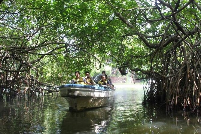 All-Inclusive Private tour in Sri Lankan Island 9 Day HB hotels - The easy part: pickup, private pacing, and guides who keep you on track