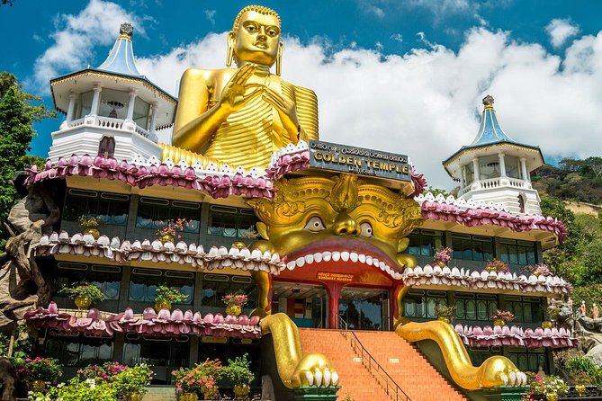 All Inclusive Sigiriya & Dambulla Day Tour from Colombo & Negombo - Private transportation: comfort, control, and less stress