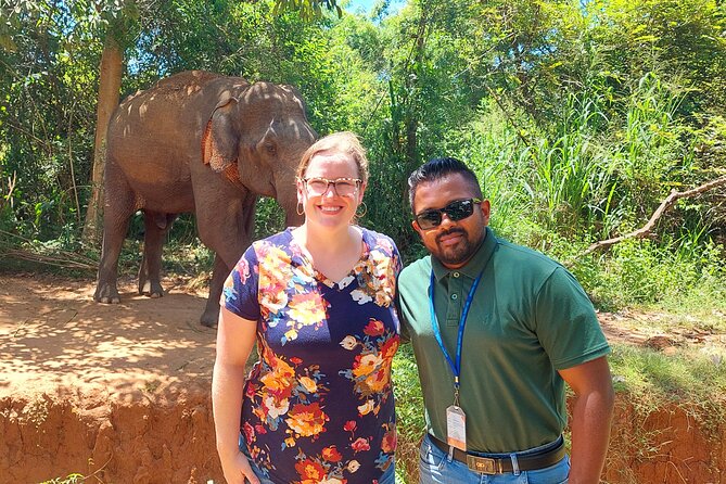 All Inclusive Udawalawe National Park Safari Day Tour from Colombo and Negombo - Included, Not Included, and How to Pack for This 12-Hour Wildlife Day