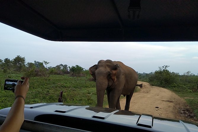 All Inclusive Udawalawe National Park Safari Day Tour from Colombo and Negombo - Private 4x4 Jeep Setup: Comfort Meets Wildlife Flexibility