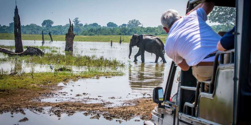 All inclussive Udawalawa National Park Safari From Colombo - Price and value: is $225 per person fair?