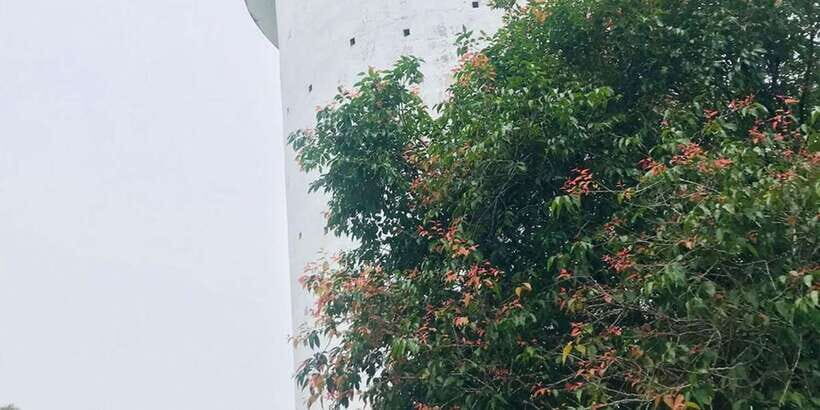 Ambuluwawa Tower with Kandy City Tour - What You Get for $45: Value That Comes From How Much Is Included